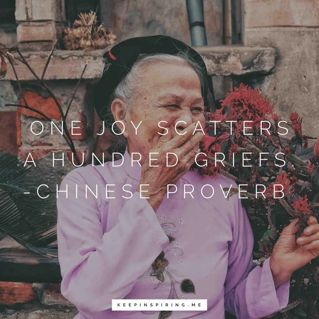 Chinese Proverb "One joy scatters a hundred griefs"