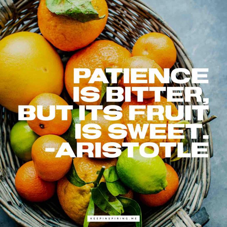 Elegant Patience Is Bitter But Its Fruit Is Sweet Pictures