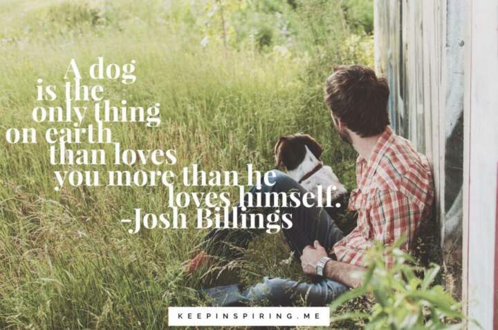 A man sitting by a barn with a brown and white cocker spaniel.