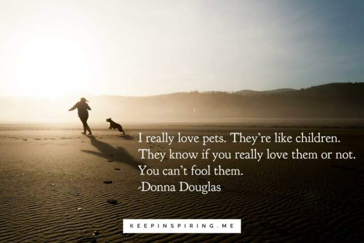 A woman and her dog running on the beach at sunrise.