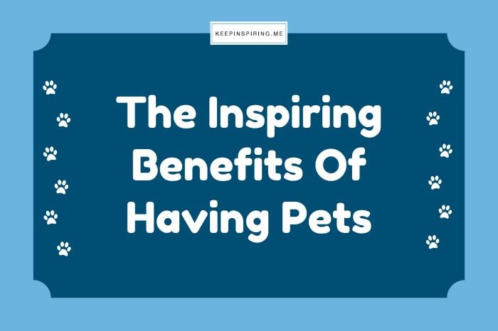 The Inspiring Benefits of Pet Ownership